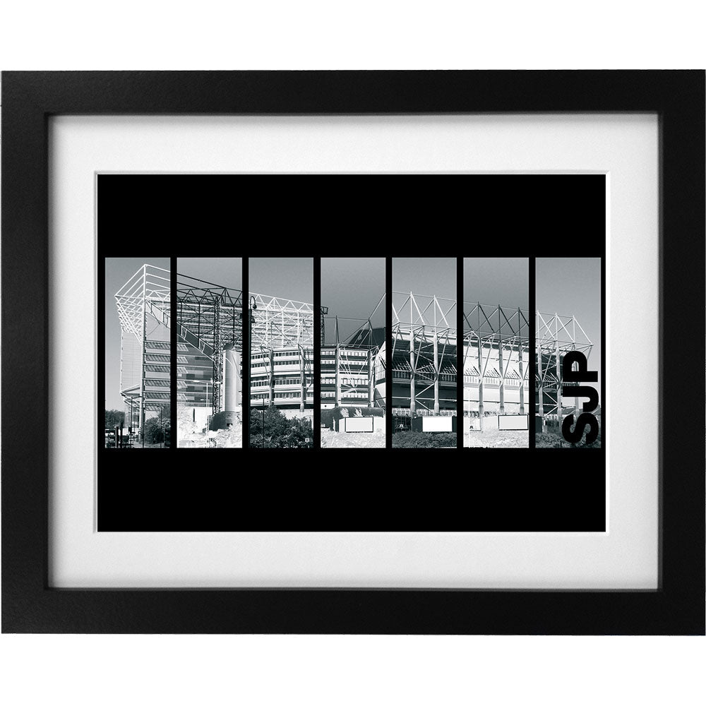 St James' Park SJP Art Print